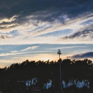 男生和男生色色动画网络
